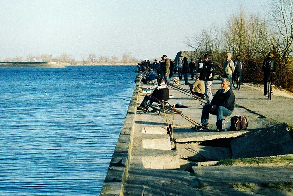 Фотографія Третья часть мужского сообщества... / Серж / photographers.ua