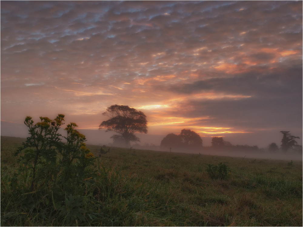Фотографія ...туманно-рассвЕтная... / Kanstantsin Markevich / photographers.ua