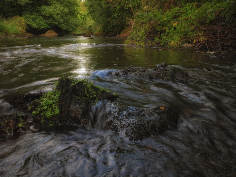Фотографія ...про зелень на камнях, средь быстрого потока... / Kanstantsin Markevich / photographers.ua