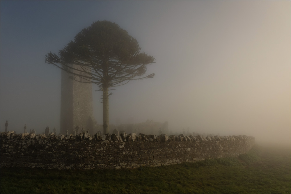 Фотографія ...клАдбище, тумАн, соснА... / Kanstantsin Markevich / photographers.ua