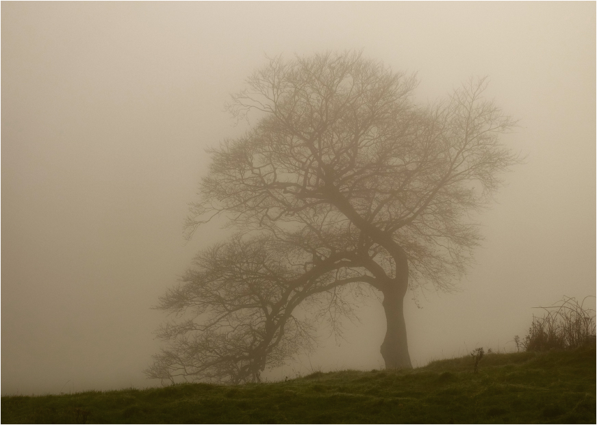Фотографія ...ghostly mist... / Kanstantsin Markevich / photographers.ua