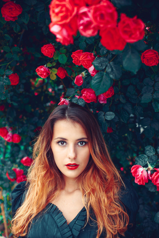 Фотографія portrait in roses / Олег Нагель / photographers.ua