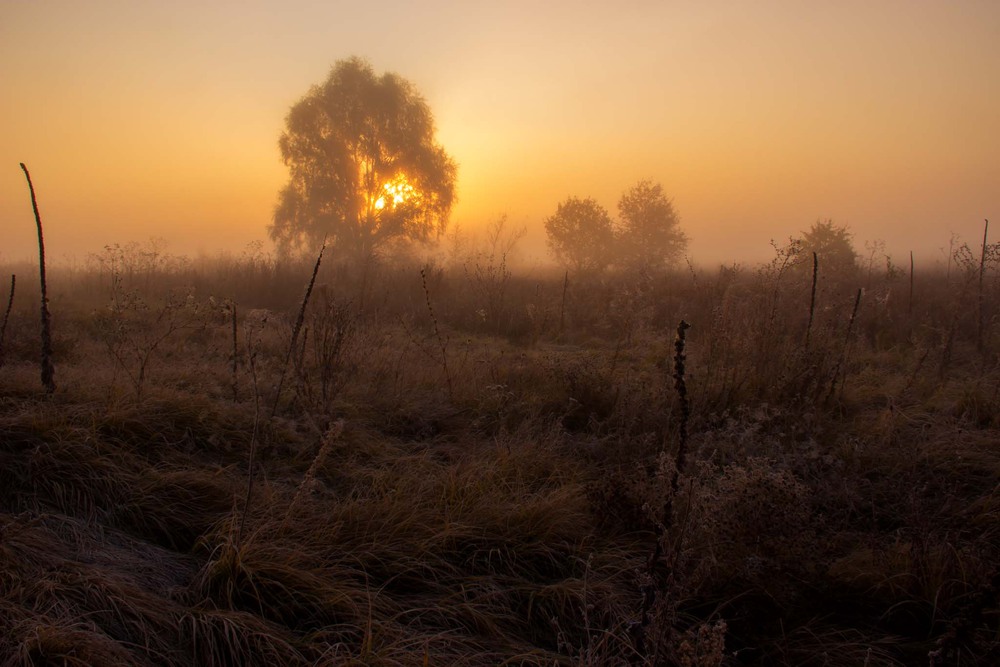 Фотографія Рассвет осеннего поля / Катя Лысак / photographers.ua