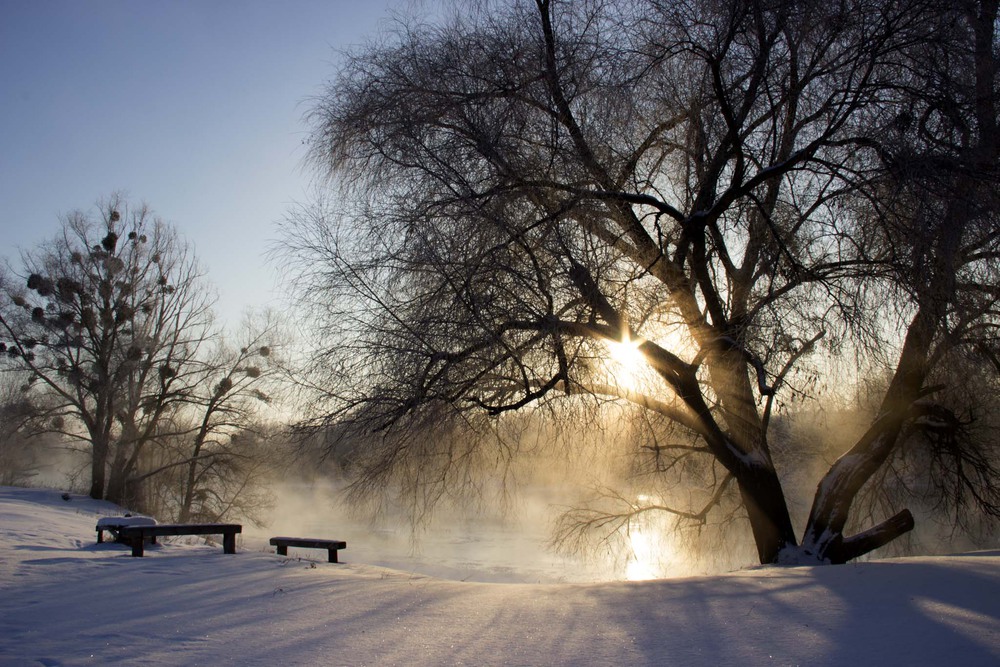 Фотографія Зимнее утро / Катя Лысак / photographers.ua