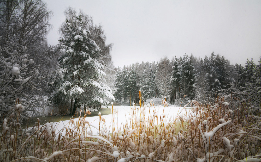 Фотографія Апрельский пейзаж.. / R.o.W / photographers.ua