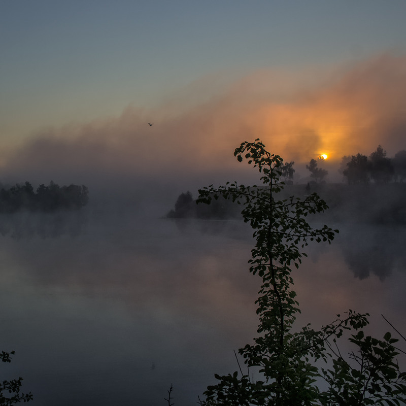 Фотографія Острів в ранковім тумані / Александр Кондратюк/Сандродед / photographers.ua