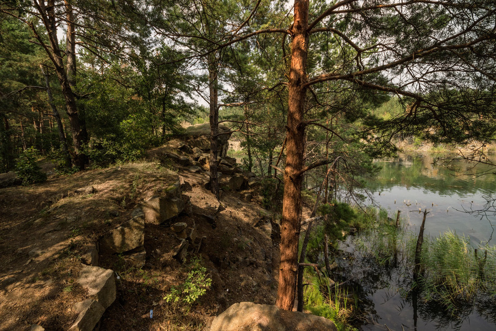 Фотографія И на камнях растут деревья...(1) / Александр Кондратюк/Сандродед / photographers.ua