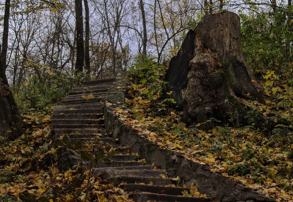 Фотографія Сторож сходів / Александр Кондратюк/Сандродед / photographers.ua