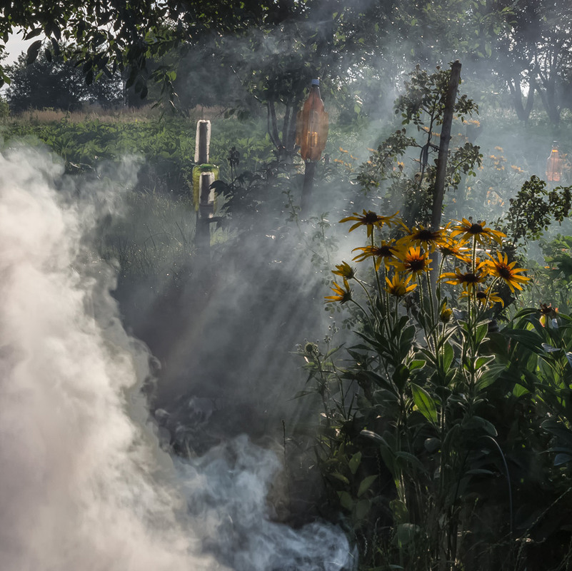 Фотографія Про дим і сонячні промені... / Александр Кондратюк/Сандродед / photographers.ua