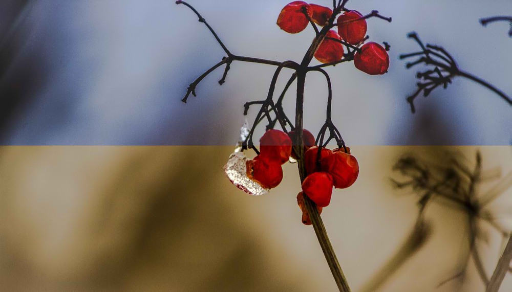 Фотографія Настане й наша весна, Калинонько! / Александр Кондратюк/Сандродед / photographers.ua