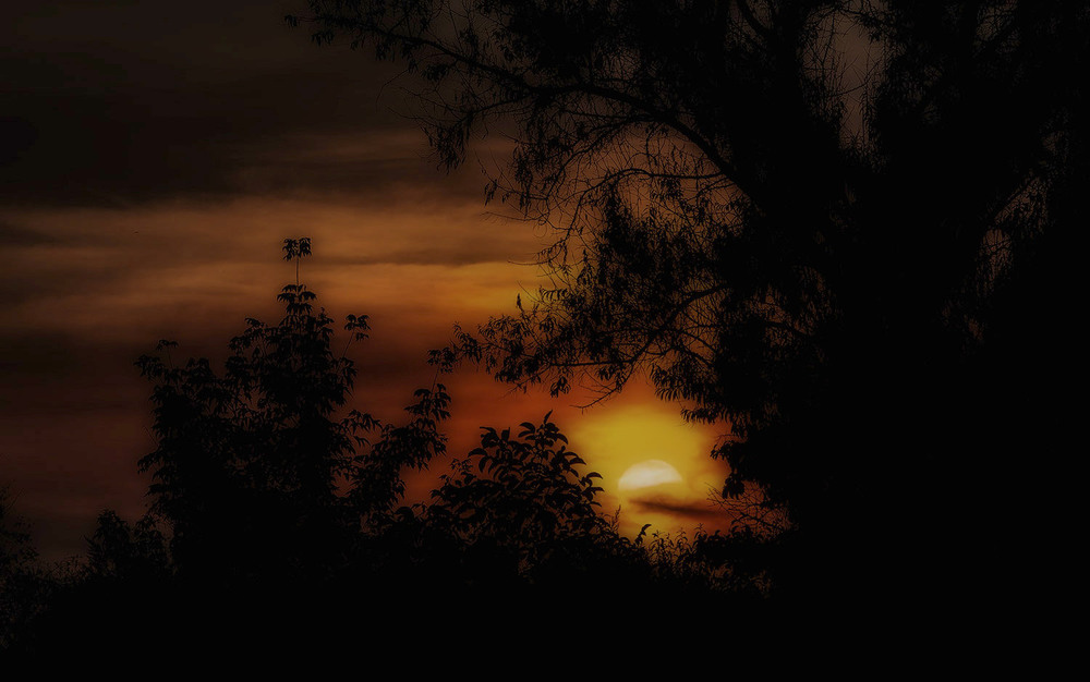 Фотографія Восход луны над левадами / Александр Кондратюк/Сандродед / photographers.ua