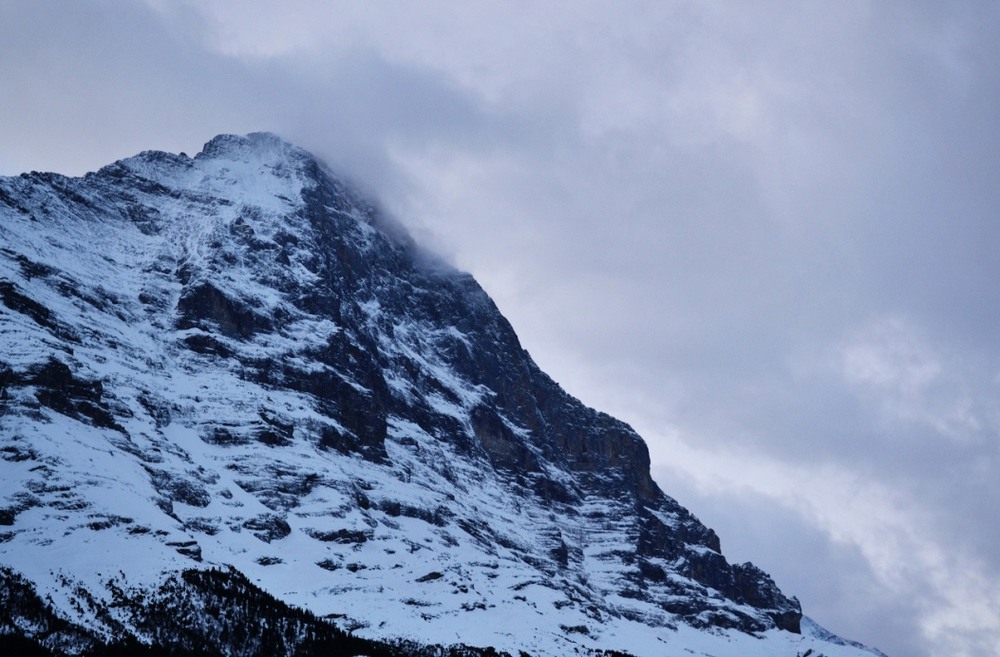 Фотографія Morning mountain / Dana Z / photographers.ua