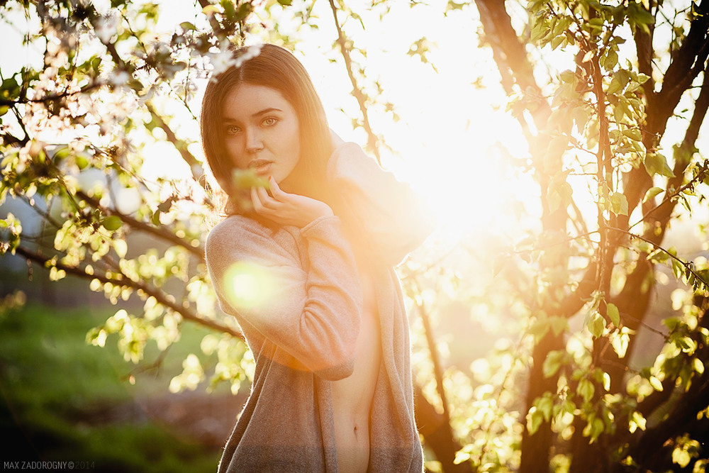 Фотографія Вечерний сад / Max Zadorogny / photographers.ua