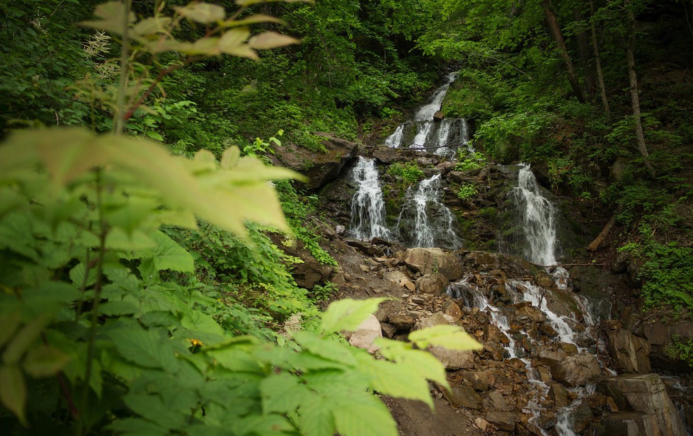 Фотографія Труфанець / Sergiy Plygun / photographers.ua