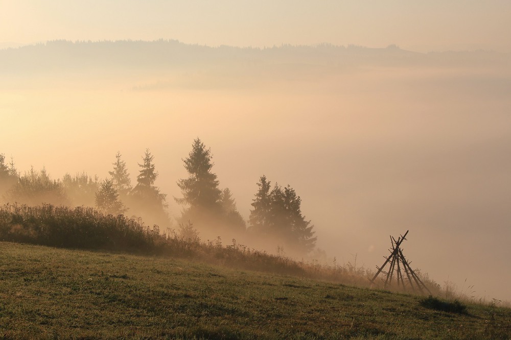 Фотографія Сонце фарбує туман / Юлия Устиновская / photographers.ua