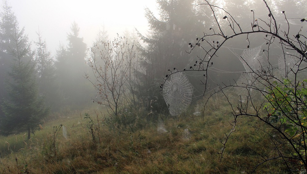 Фотографія Блукає горами туман / Юлия Устиновская / photographers.ua
