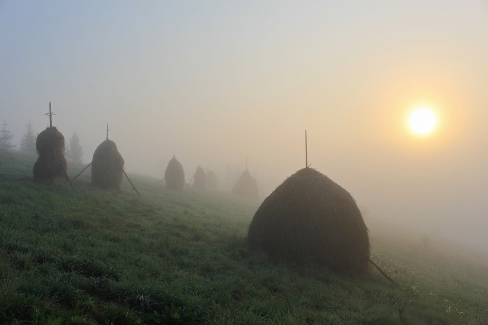 Фотографія Осінь стелить тумани / Юлия Устиновская / photographers.ua