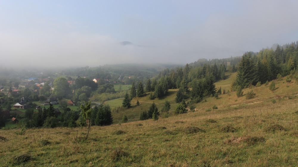 Фотографія Ранковий краєвид з туманом / Юлия Устиновская / photographers.ua