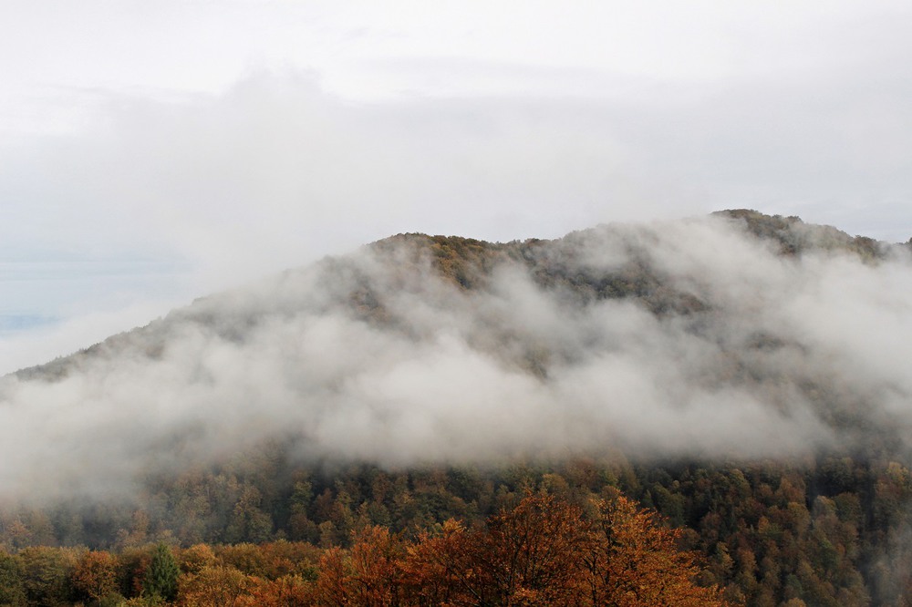 Фотографія Клубочиться туман в осінніх горах / Юлия Устиновская / photographers.ua