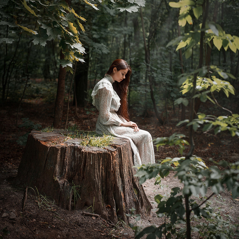 Фотографія Dark forests / Дмитрий Бегма / photographers.ua