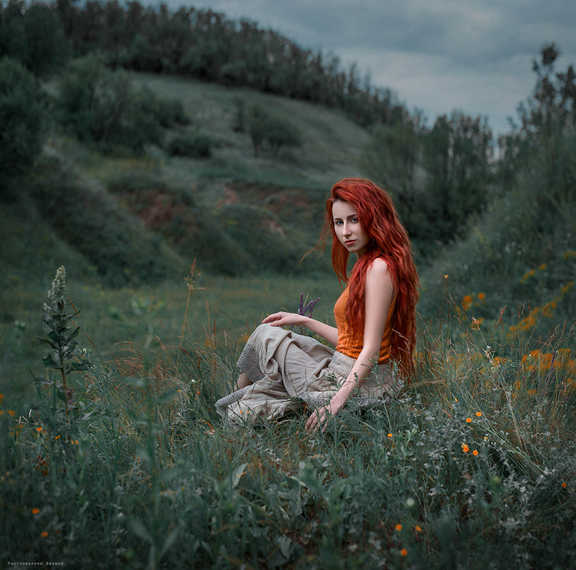 Фотографія In the fields / Дмитро Бегма / photographers.ua