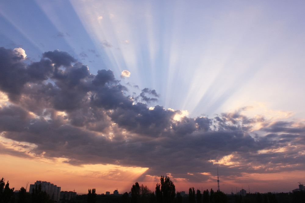 Фотографія Лучи надежды / Anna Alex / photographers.ua