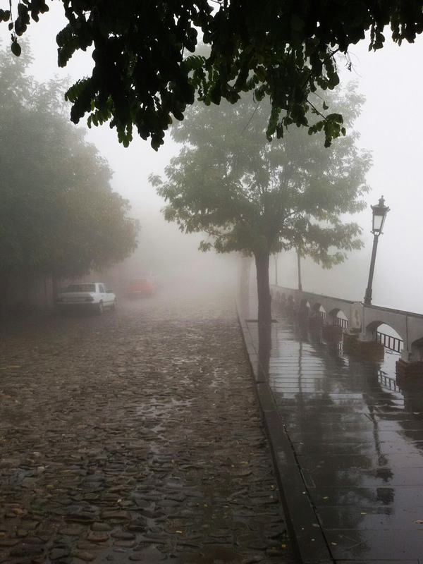 Фотографія Гуляя туманным Сигнахи (Грузия) / Anna Alex / photographers.ua