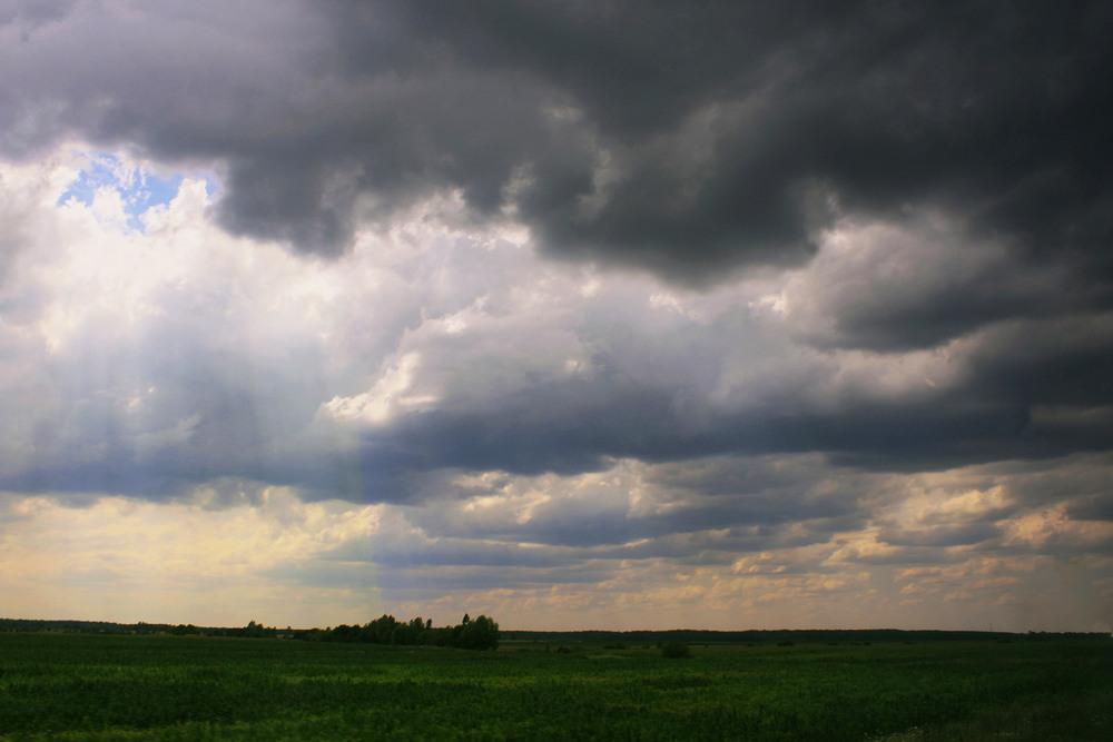 Фотографія На родных просторах / Anna Alex / photographers.ua