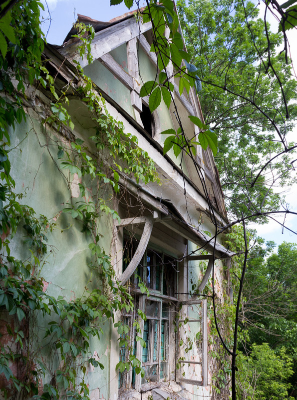 Фотографія Зелена краса / Марія Берберфіш / photographers.ua