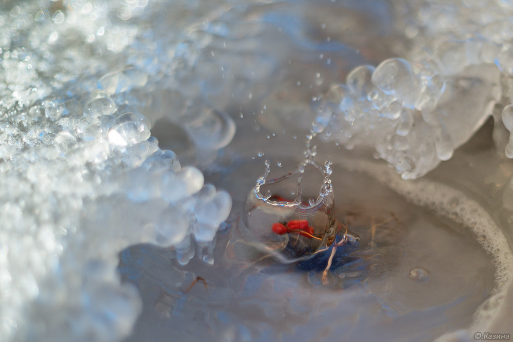 Фотографія Весенний коктейль со льдом и ягодкой. / Светлана Казина / photographers.ua