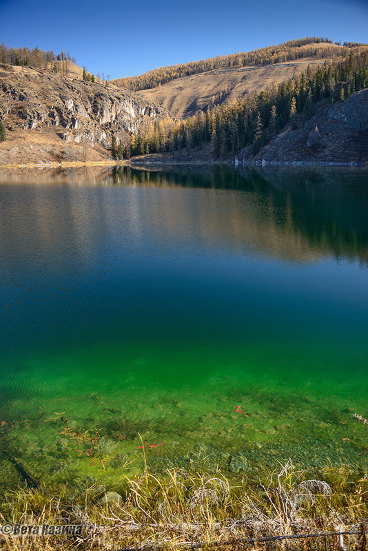 Фотографія Изумрудное озеро / Светлана Казина / photographers.ua
