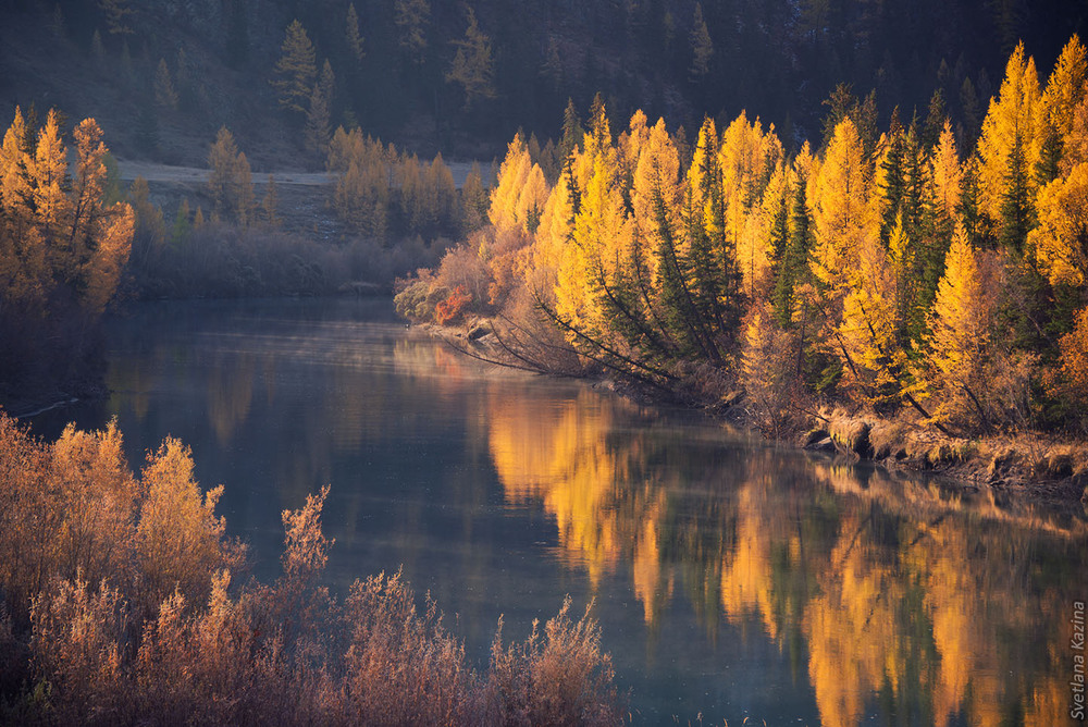 Фотографія Оглянувшись на осень... / Светлана Казина / photographers.ua