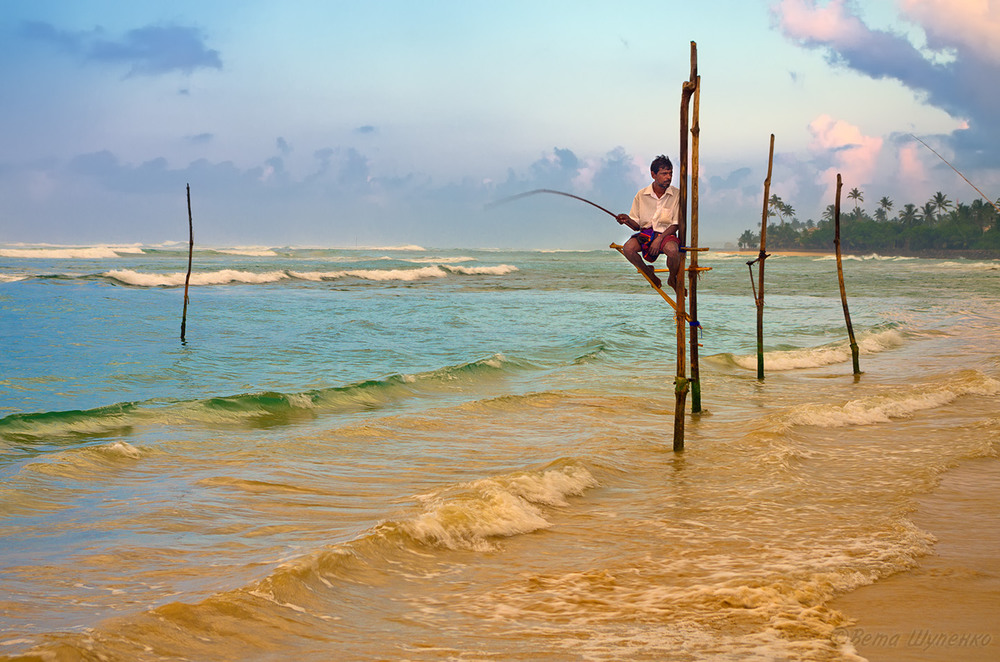 Фотографія Шри-Ланкийский рыбак / Светлана Казина / photographers.ua