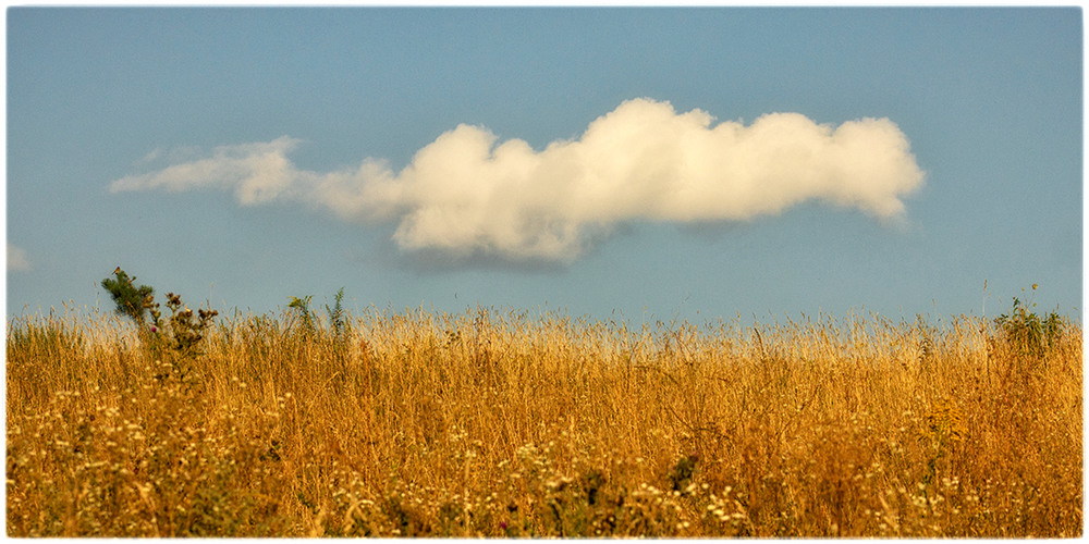 Фотографія Хмарина для горобця... / Олександр Шахманцір / photographers.ua