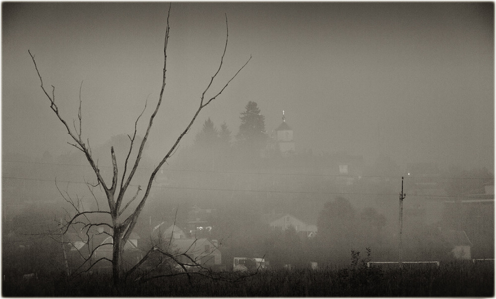 Фотографія Вечірня з туманом... / Олександр Шахманцір / photographers.ua
