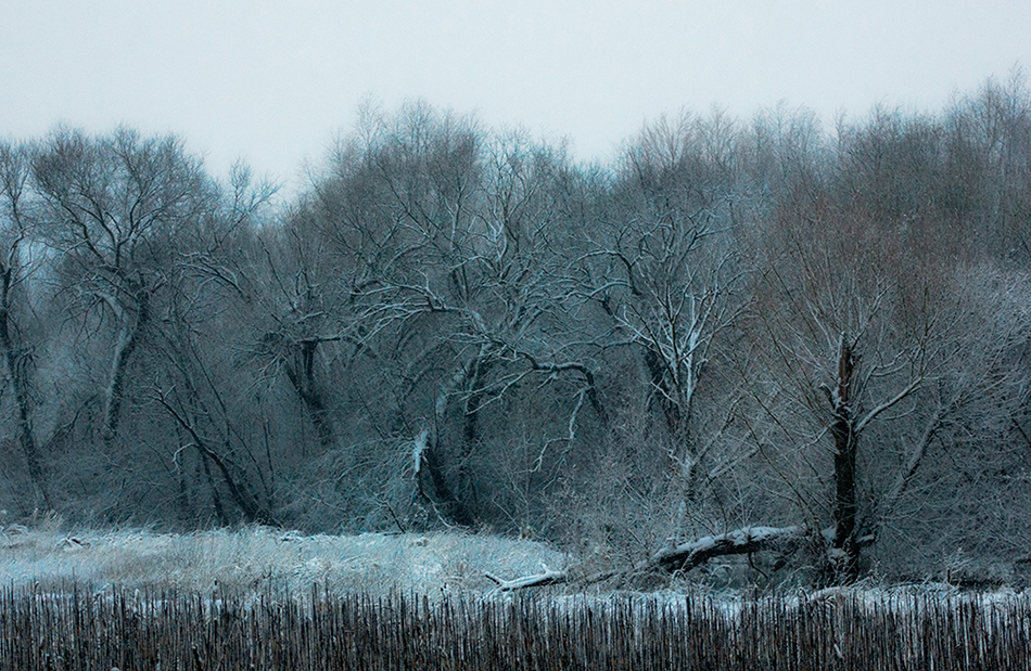 Фотографія Перші сніги... / Олександр Шахманцір / photographers.ua