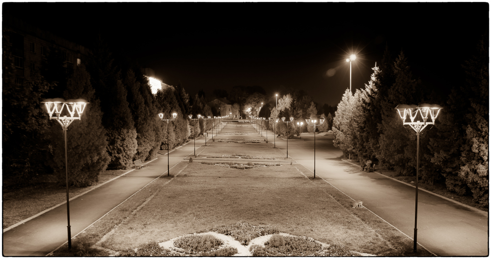 Фотографія Вечер над алеей... / Олександр Шахманцір / photographers.ua