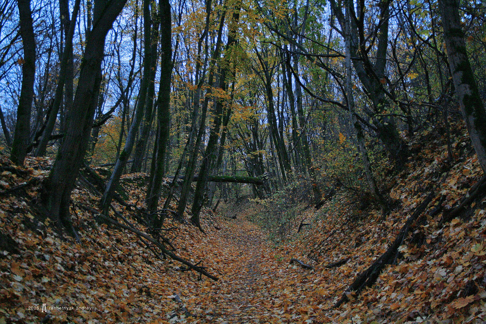 Фотографія Пейзаж / Андрій Решетняк / photographers.ua
