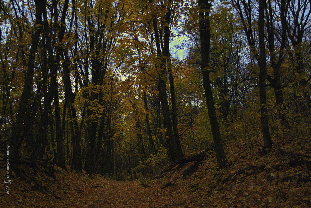 Фотографія Пейзаж / Андрій Решетняк / photographers.ua