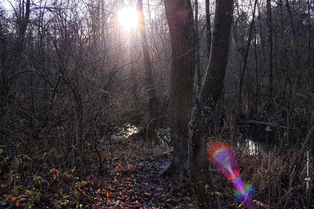 Фотографія Пейзаж / Андрій Решетняк / photographers.ua