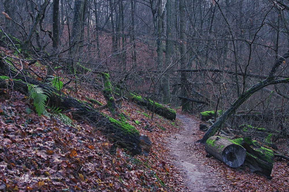 Фотографія Пейзаж / Андрій Решетняк / photographers.ua
