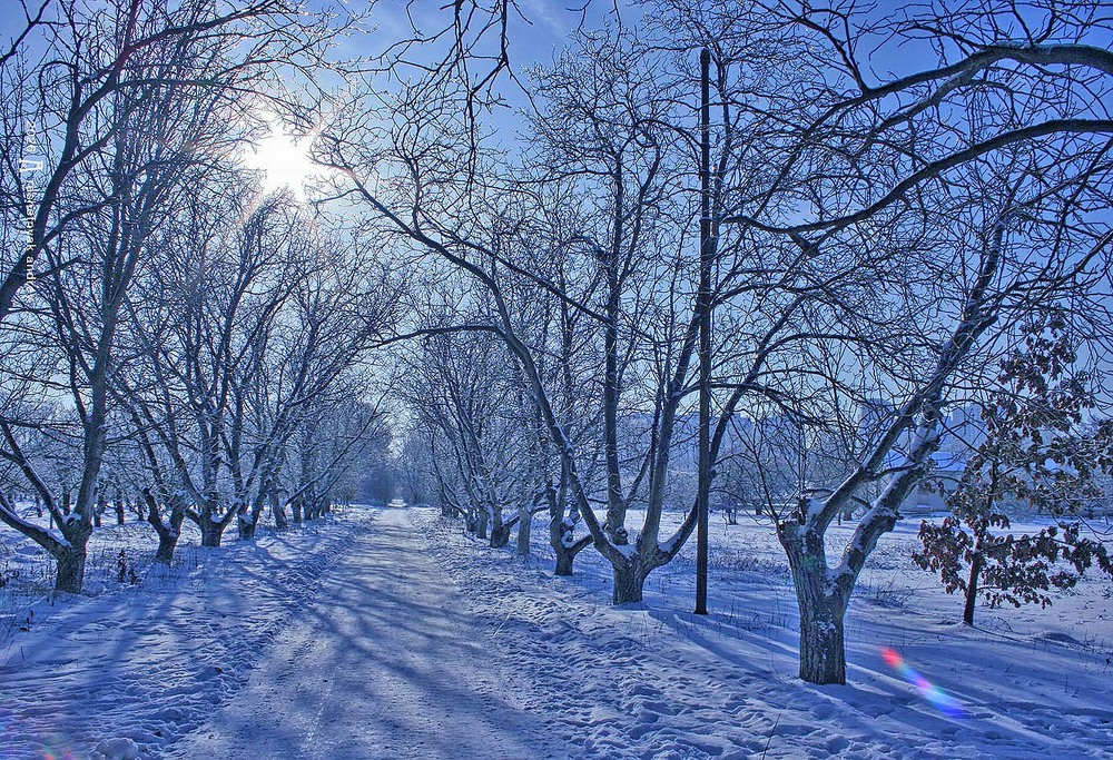 Фотографія Пейзаж / Андрій Решетняк / photographers.ua
