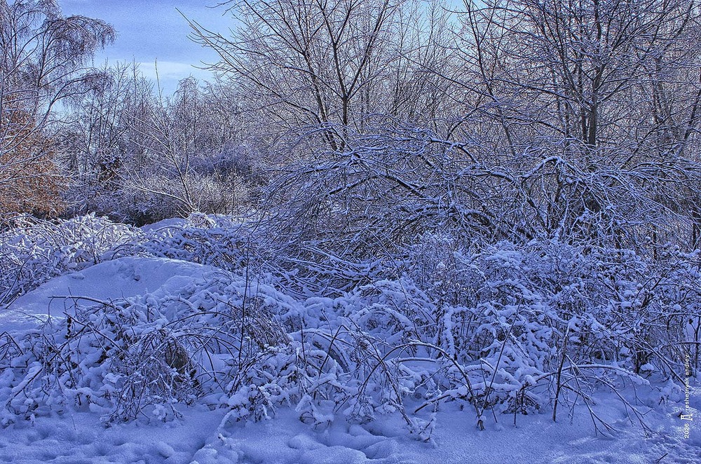 Фотографія Пейзаж / Андрій Решетняк / photographers.ua