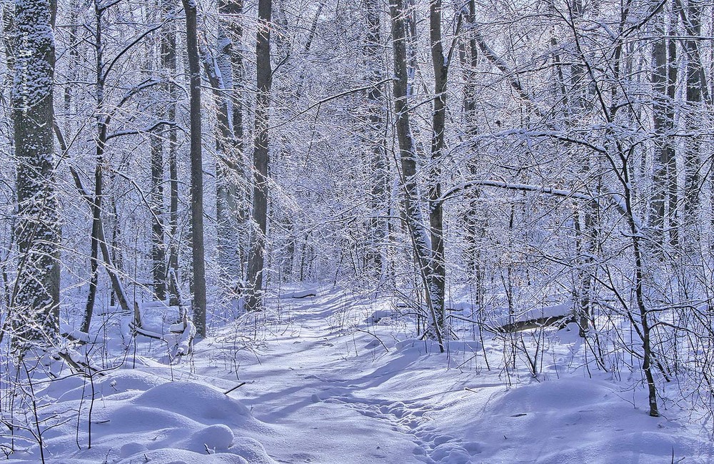 Фотографія Пейзаж / Андрій Решетняк / photographers.ua