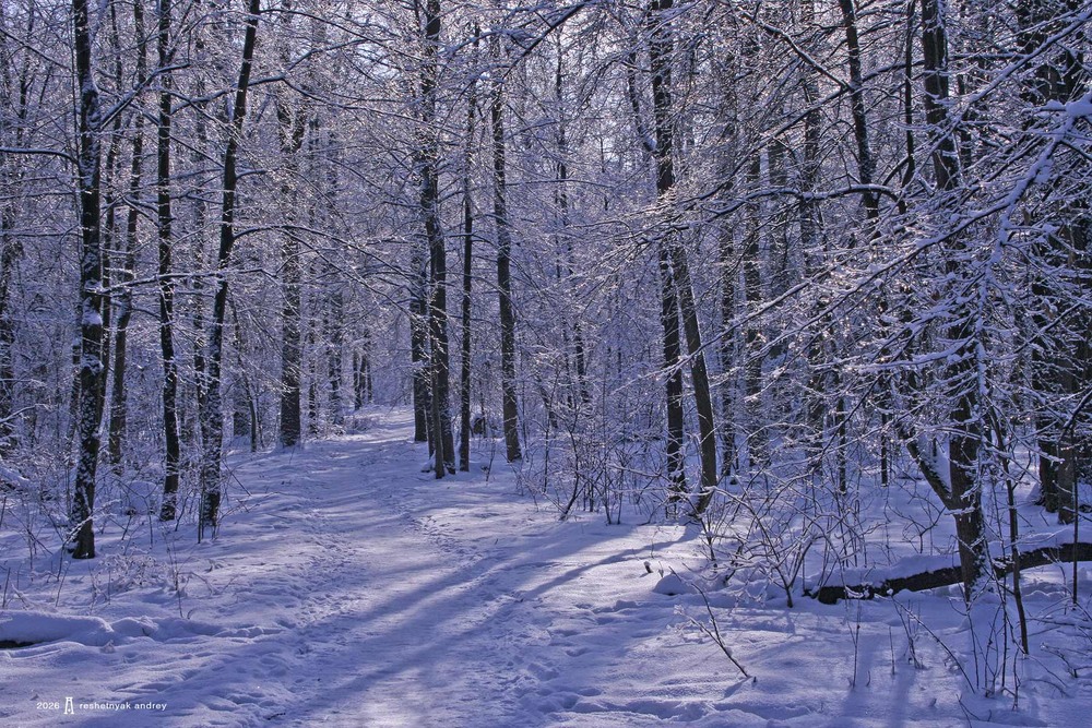 Фотографія Пейзаж / Андрій Решетняк / photographers.ua