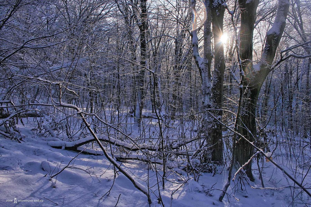 Фотографія Пейзаж / Андрій Решетняк / photographers.ua
