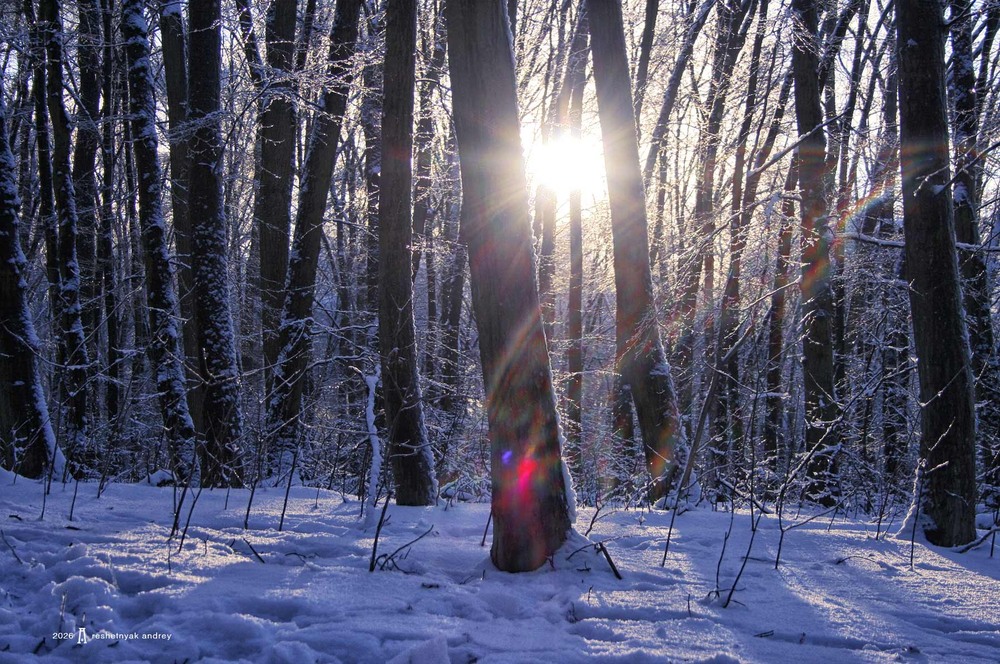 Фотографія Пейзаж / Андрій Решетняк / photographers.ua