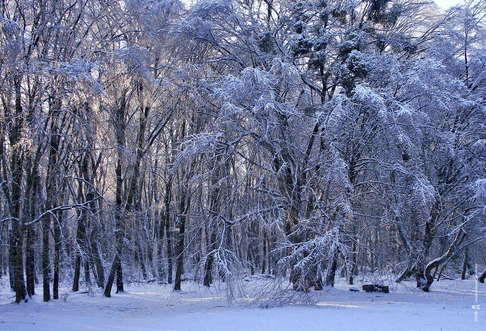 Фотографія Пейзаж / Андрій Решетняк / photographers.ua