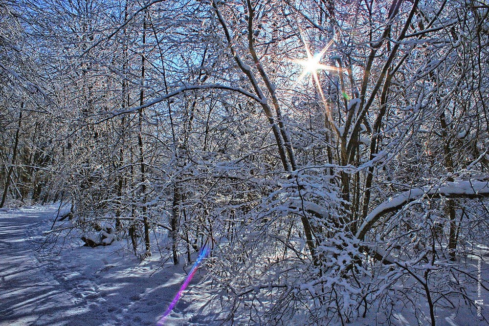 Фотографія Пейзаж / Андрій Решетняк / photographers.ua