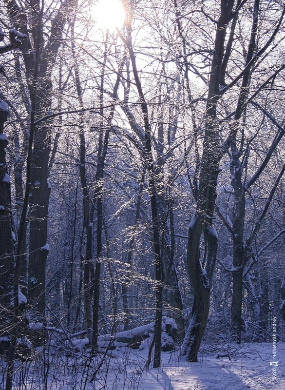Фотографія Пейзаж / Андрій Решетняк / photographers.ua